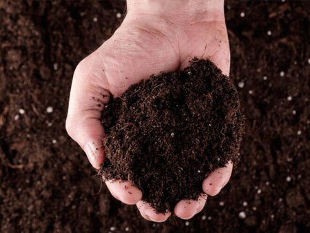 雞糞發(fā)酵有機肥